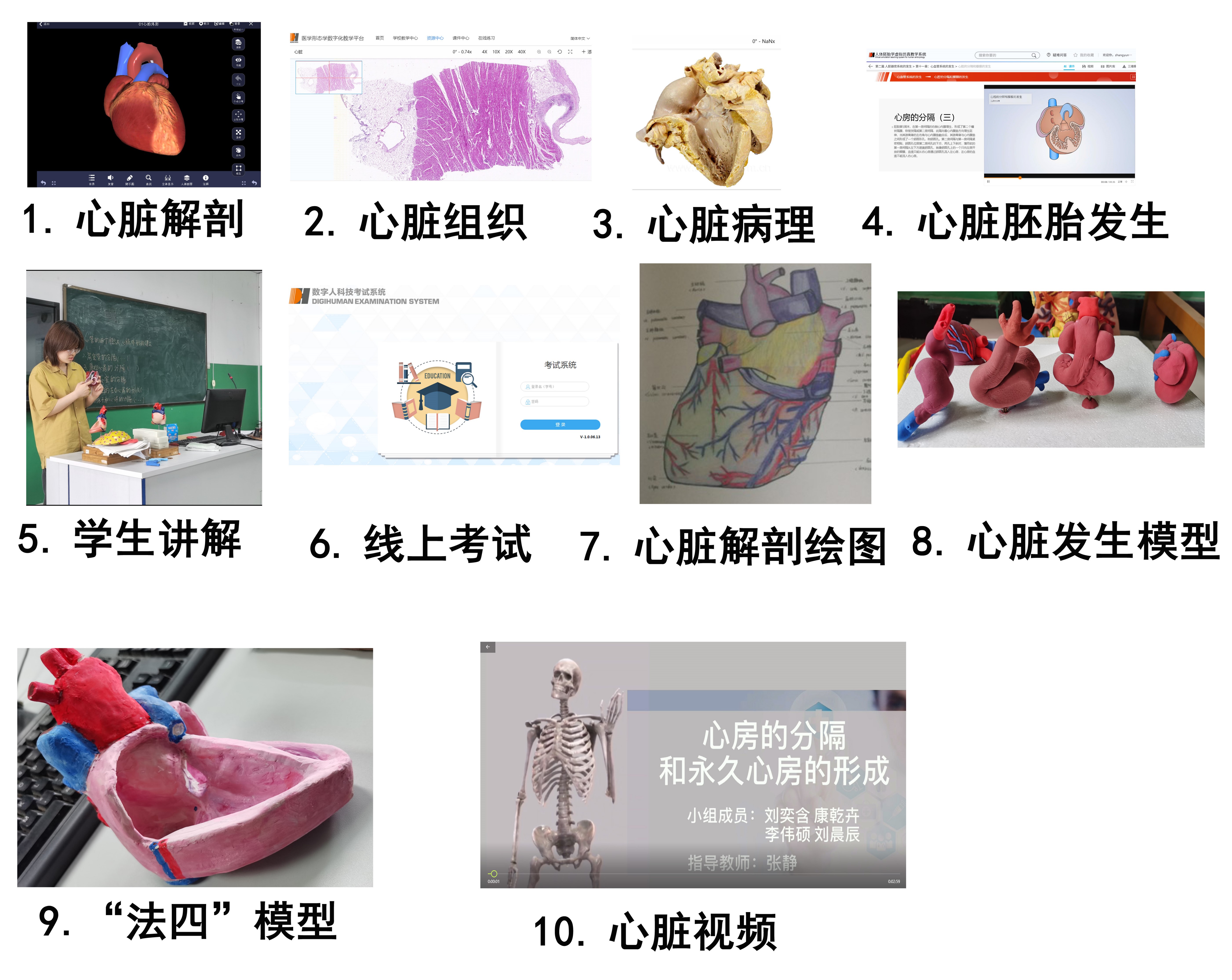 虚拟心脏仿真.jpg